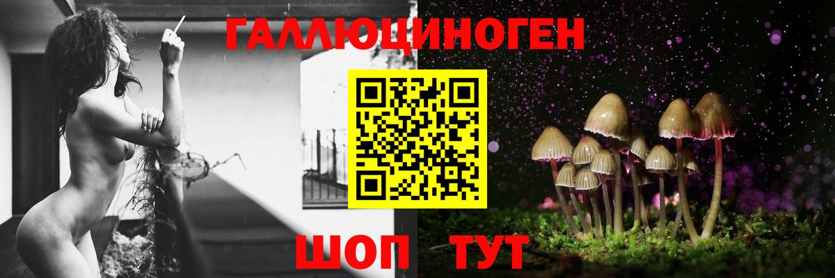 Солнечногорск  Галлюциногенные грибы ЛСД  Вход с VPN 